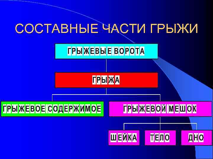 СОСТАВНЫЕ ЧАСТИ ГРЫЖИ 