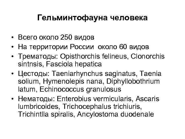 Гельминтофауна человека • Всего около 250 видов • На территории России около 60 видов