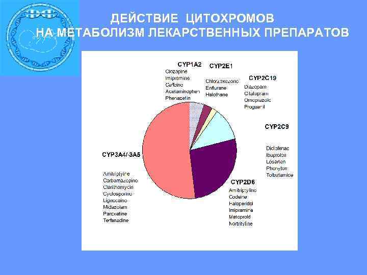  ДЕЙСТВИЕ ЦИТОХРОМОВ НА МЕТАБОЛИЗМ ЛЕКАРСТВЕННЫХ ПРЕПАРАТОВ 