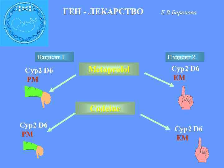  ГЕН - ЛЕКАРСТВО Е. В. Баранова Пациент 1 Пациент 2 Сyp 2 D