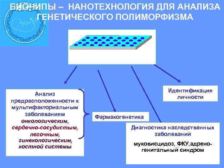 БИОЧИПЫ – НАНОТЕХНОЛОГИЯ ДЛЯ АНАЛИЗА ГЕНЕТИЧЕСКОГО ПОЛИМОРФИЗМА Идентификация Анализ личности предрасположенности к мультифакториальным заболеваниям