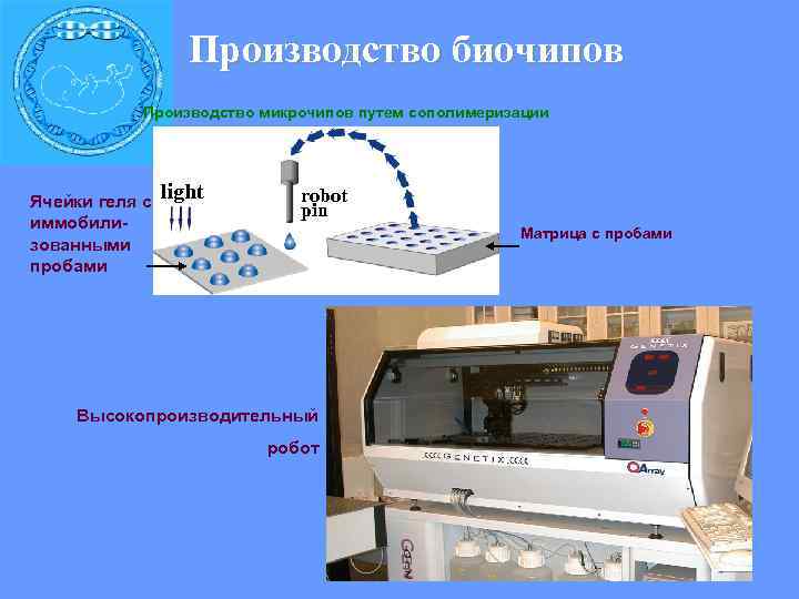  Производство биочипов Производство микрочипов путем сополимеризации Ячейки геля с light robot pin иммобили-