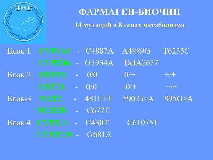  ФАРМАГЕН-БИОЧИП 14 мутаций в 8 генах метаболизма Блок 1 CYP 1 A 1