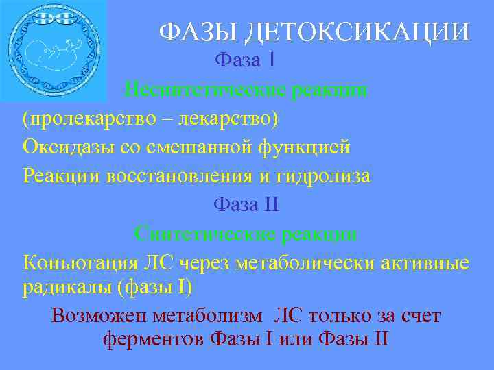  ФАЗЫ ДЕТОКСИКАЦИИ Фаза 1 Несинтетические реакции (пролекарство – лекарство) Оксидазы со смешанной функцией