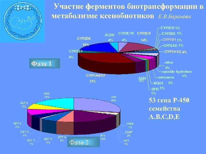  Участие ферментов биотрансформации в метаболизме ксенобиотиков Е. В. Баранова CYP 2 C 8