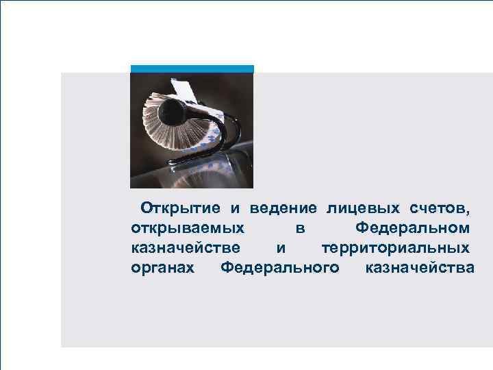 Вставьте картинку Открытие и ведение лицевых счетов, открываемых в Федеральном казначействе и территориальных органах