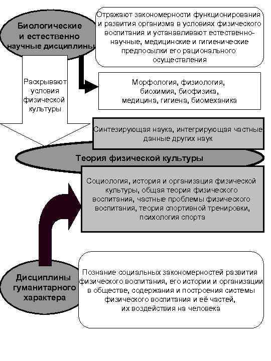    Наука об общих закономерностях, определяющих  содержание и формы построения физического