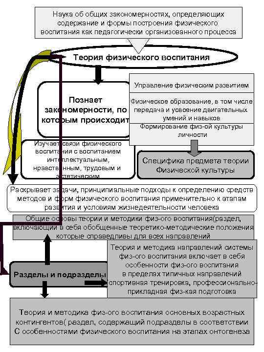  Основной общетеоретико-профилирующий Предмет профессионального образования  Специалистов по физической культуре   Теория