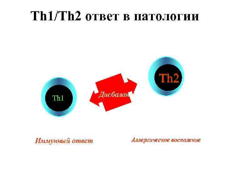 Th 1/Th 2 ответ в патологии Th 2 Th 1 Дисбаланс Иммунный ответ Аллергическое