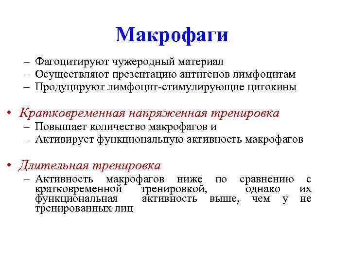  Макрофаги – Фагоцитируют чужеродный материал – Осуществляют презентацию антигенов лимфоцитам – Продуцируют лимфоцит-стимулирующие