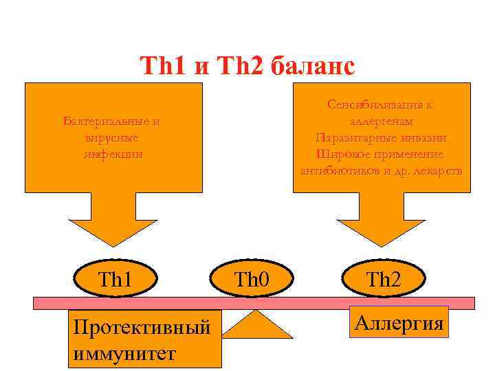  Th 1 и Th 2 баланс Сенсибилизация к Бактериальные и аллергенам вирусные Паразитарные