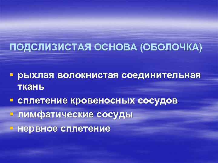ПОДСЛИЗИСТАЯ ОСНОВА (ОБОЛОЧКА) § рыхлая волокнистая соединительная ткань § сплетение кровеносных сосудов § лимфатические