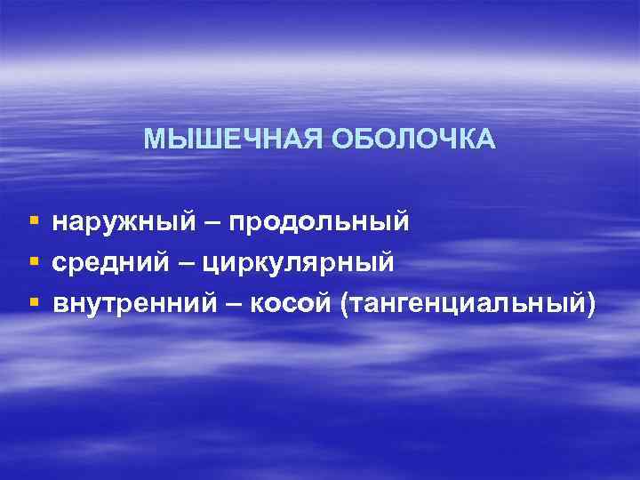 МЫШЕЧНАЯ ОБОЛОЧКА § § § наружный – продольный средний – циркулярный внутренний – косой