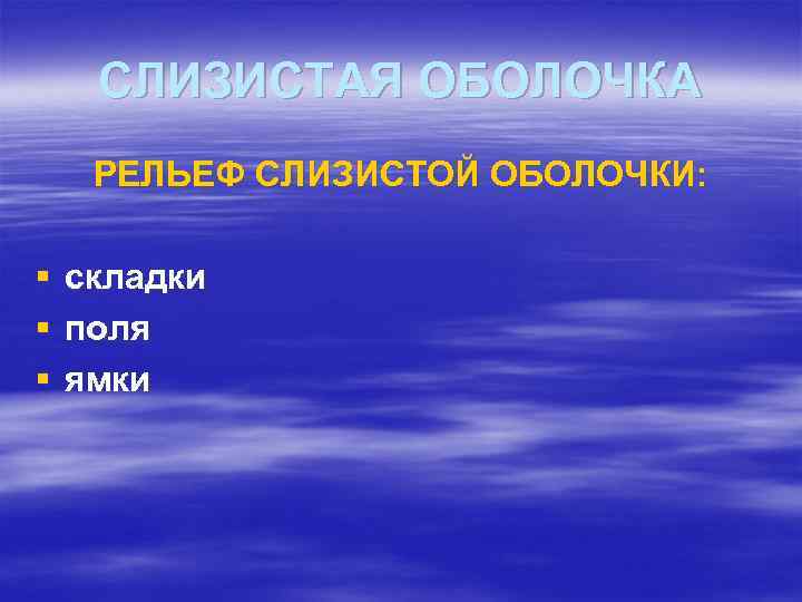 СЛИЗИСТАЯ ОБОЛОЧКА РЕЛЬЕФ СЛИЗИСТОЙ ОБОЛОЧКИ: § § § складки поля ямки 