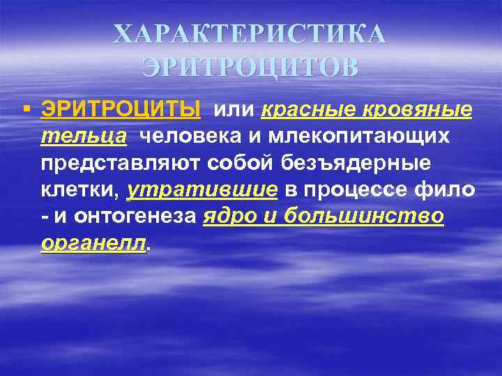 ХАРАКТЕРИСТИКА ЭРИТРОЦИТОВ § ЭРИТРОЦИТЫ или красные кровяные тельца человека и млекопитающих представляют собой безъядерные