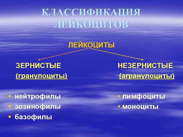 КЛАССИФИКАЦИЯ ЛЕЙКОЦИТОВ ЛЕЙКОЦИТЫ ЗЕРНИСТЫЕ (гранулоциты) § нейтрофилы § эозинофилы § базофилы НЕЗЕРНИСТЫЕ (агранулоциты) •