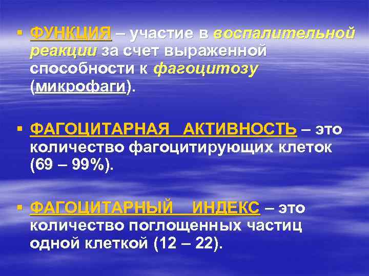 § ФУНКЦИЯ – участие в воспалительной реакции за счет выраженной способности к фагоцитозу (микрофаги).