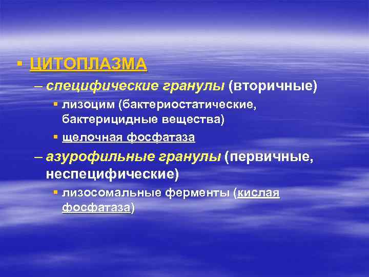 § ЦИТОПЛАЗМА – специфические гранулы (вторичные) § лизоцим (бактериостатические, бактерицидные вещества) § щелочная фосфатаза
