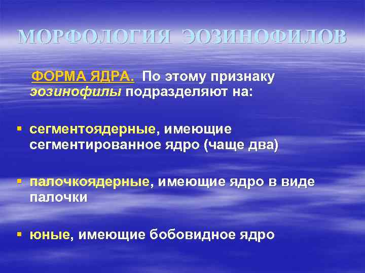 МОРФОЛОГИЯ ЭОЗИНОФИЛОВ ФОРМА ЯДРА. По этому признаку эозинофилы подразделяют на: § сегментоядерные, имеющие сегментированное