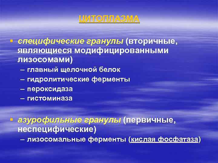ЦИТОПЛАЗМА § специфические гранулы (вторичные, являющиеся модифицированными лизосомами) – – главный щелочной белок гидролитические