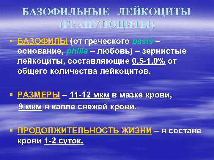 БАЗОФИЛЬНЫЕ ЛЕЙКОЦИТЫ (ГРАНУЛОЦИТЫ) § БАЗОФИЛЫ (от греческого basis – основание, philia – любовь) –