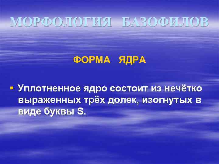 МОРФОЛОГИЯ БАЗОФИЛОВ ФОРМА ЯДРА § Уплотненное ядро состоит из нечётко выраженных трёх долек, изогнутых