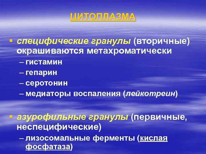 ЦИТОПЛАЗМА § специфические гранулы (вторичные) окрашиваются метахроматически – гистамин – гепарин – серотонин –