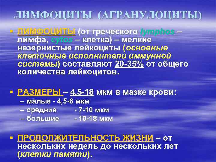 ЛИМФОЦИТЫ (АГРАНУЛОЦИТЫ) § ЛИМФОЦИТЫ (от греческого lymphos – лимфа, cytos – клетка) – мелкие