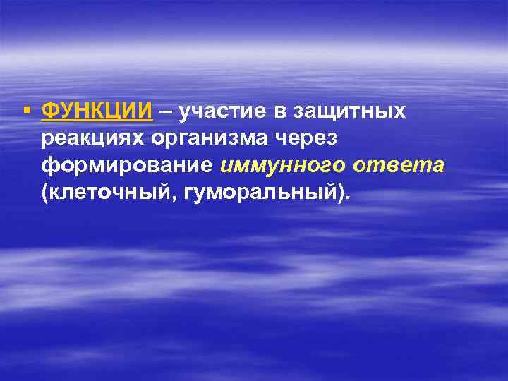 § ФУНКЦИИ – участие в защитных реакциях организма через формирование иммунного ответа (клеточный, гуморальный).