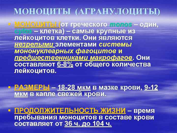 МОНОЦИТЫ (АГРАНУЛОЦИТЫ) § МОНОЦИТЫ (от греческого monos – один, cytos – клетка) – самые