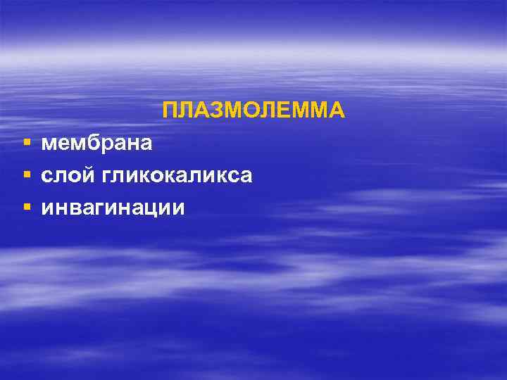 ПЛАЗМОЛЕММА § § § мембрана слой гликокаликса инвагинации 