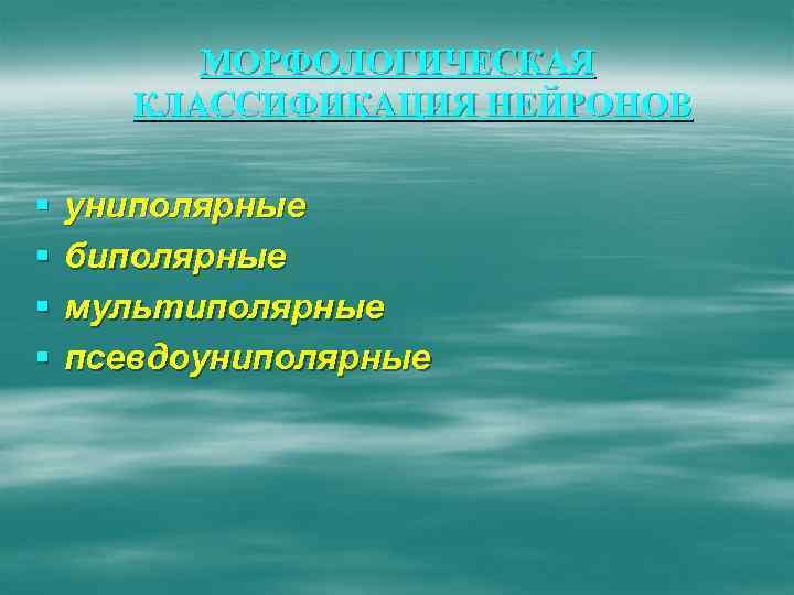 МОРФОЛОГИЧЕСКАЯ КЛАССИФИКАЦИЯ НЕЙРОНОВ § § униполярные биполярные мультиполярные псевдоуниполярные 