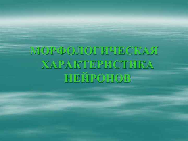 МОРФОЛОГИЧЕСКАЯ ХАРАКТЕРИСТИКА НЕЙРОНОВ 