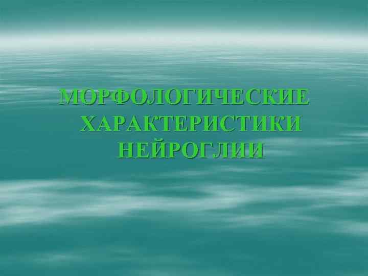 МОРФОЛОГИЧЕСКИЕ ХАРАКТЕРИСТИКИ НЕЙРОГЛИИ 