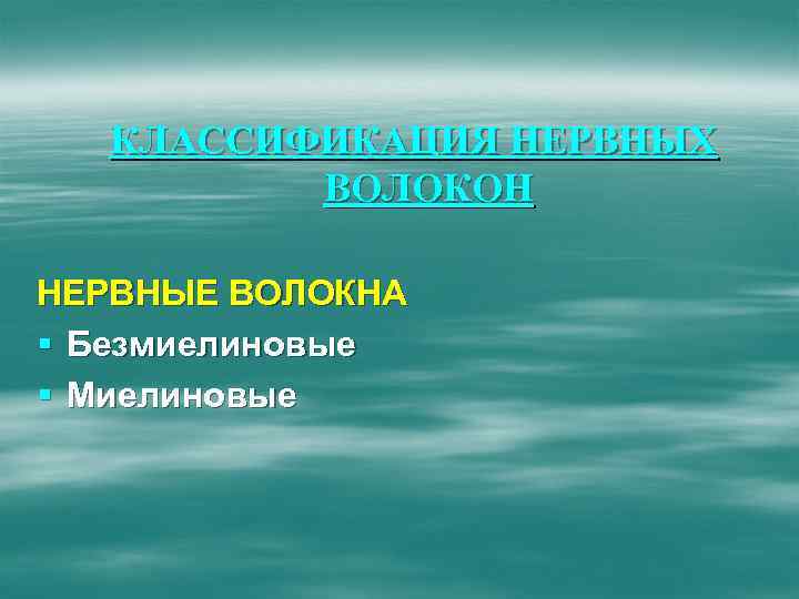 КЛАССИФИКАЦИЯ НЕРВНЫХ ВОЛОКОН НЕРВНЫЕ ВОЛОКНА § Безмиелиновые § Миелиновые 