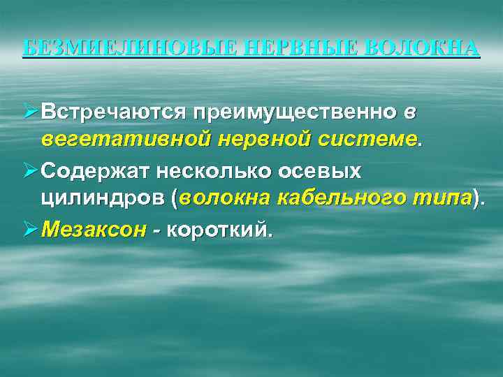 БЕЗМИЕЛИНОВЫЕ НЕРВНЫЕ ВОЛОКНА Ø Встречаются преимущественно в вегетативной нервной системе. Ø Содержат несколько осевых