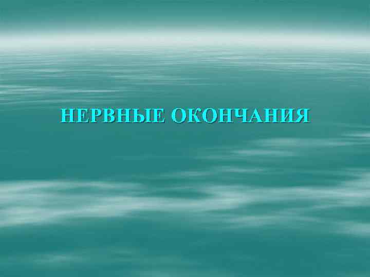 НЕРВНЫЕ ОКОНЧАНИЯ 