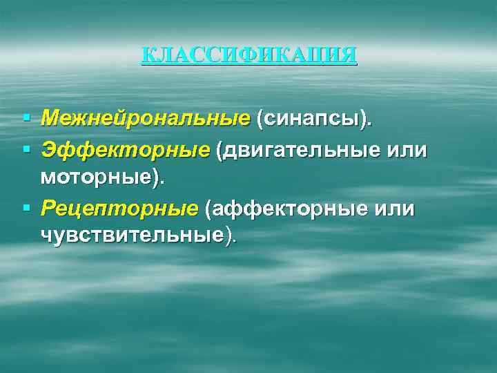 КЛАССИФИКАЦИЯ § Межнейрональные (синапсы). § Эффекторные (двигательные или моторные). § Рецепторные (аффекторные или чувствительные).