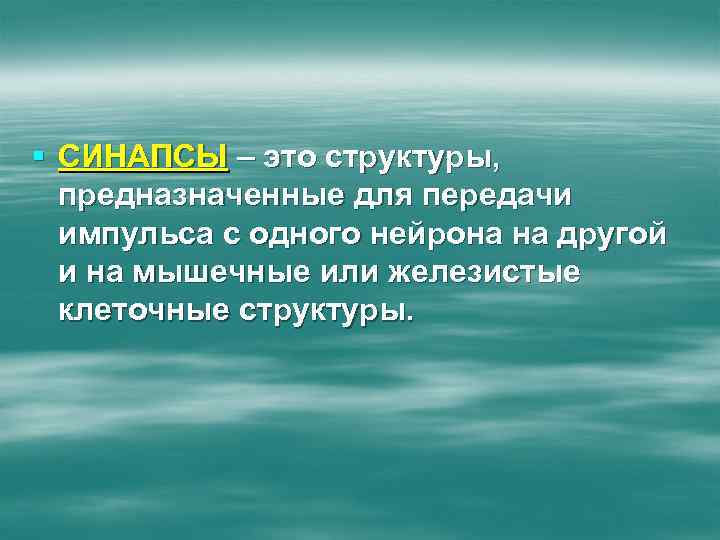 § СИНАПСЫ – это структуры, предназначенные для передачи импульса с одного нейрона на другой