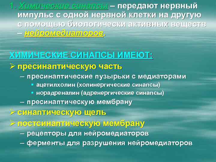 1. Химические синапсы – передают нервный импульс с одной нервной клетки на другую с