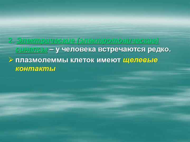 2. Электрические (электротонические) синапсы – у человека встречаются редко. Ø плазмолеммы клеток имеют щелевые