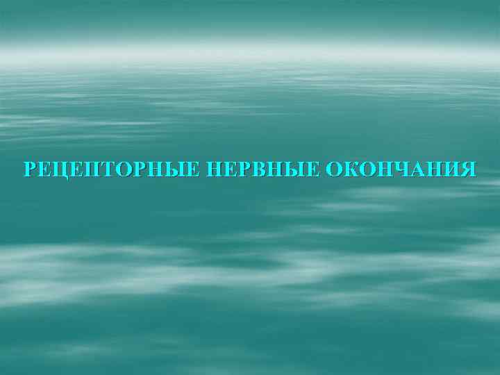 РЕЦЕПТОРНЫЕ НЕРВНЫЕ ОКОНЧАНИЯ 