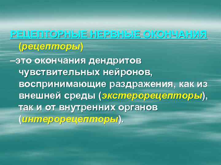 РЕЦЕПТОРНЫЕ НЕРВНЫЕ ОКОНЧАНИЯ (рецепторы) –это окончания дендритов чувствительных нейронов, воспринимающие раздражения, как из внешней