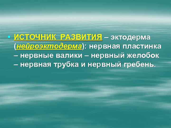 § ИСТОЧНИК РАЗВИТИЯ – эктодерма (нейроэктодерма): нервная пластинка – нервные валики – нервный желобок