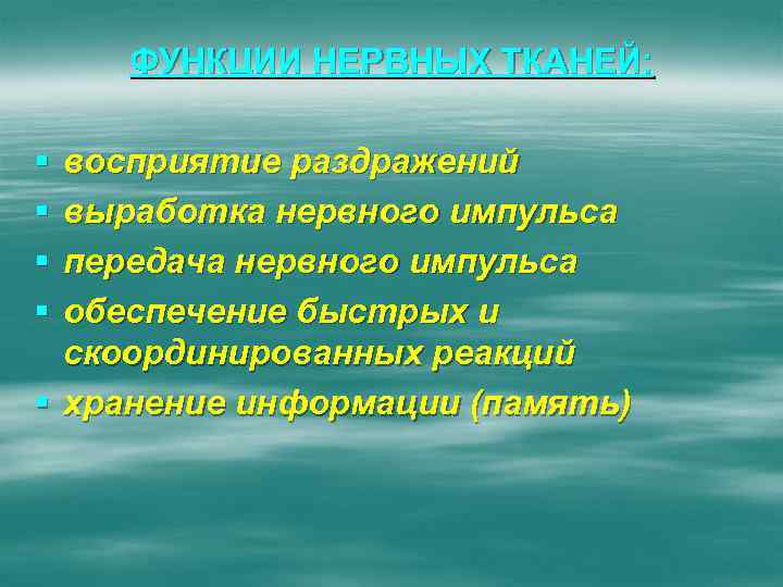 ФУНКЦИИ НЕРВНЫХ ТКАНЕЙ: § § восприятие раздражений выработка нервного импульса передача нервного импульса обеспечение