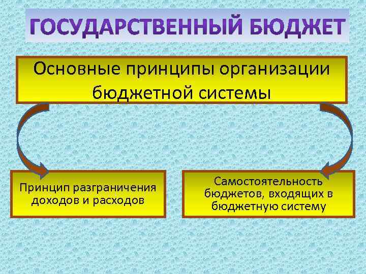 Основные принципы организации бюджетной системы Принцип разграничения доходов и расходов Самостоятельность бюджетов, входящих в