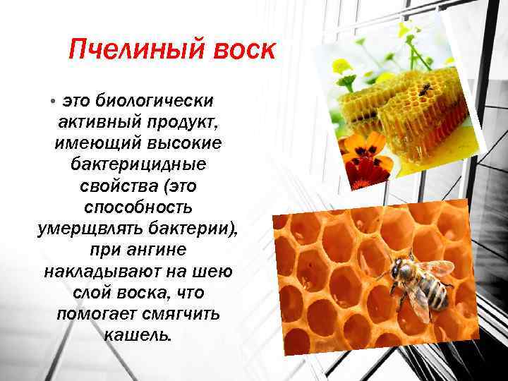 Пчелиный воск это биологически активный продукт, имеющий высокие бактерицидные свойства (это способность умерщвлять бактерии),