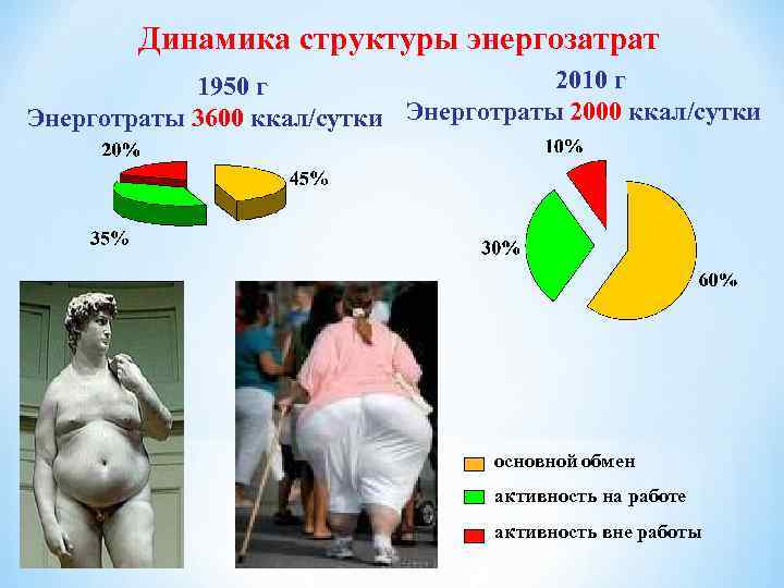 Динамика структуры энергозатрат 2010 г 1950 г Энерготраты 3600 ккал/сутки Энерготраты 2000 ккал/сутки основной
