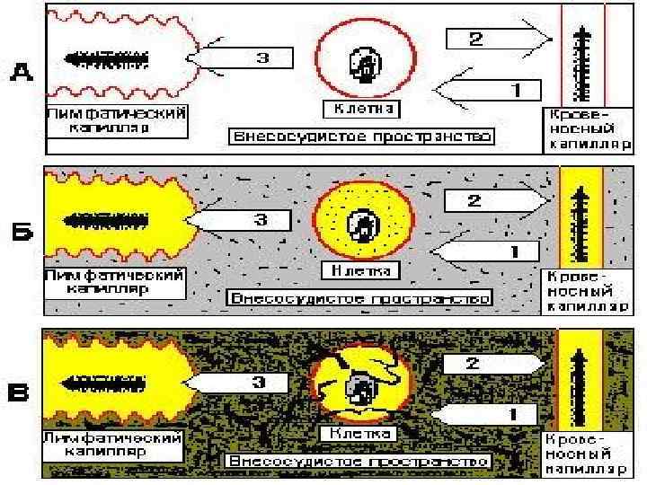 100% Болезнь 80% Предболезнь 60% * ПОПУЛЯЦИЯ НАСЕЛЕНИЯ Маладаптация 20% Здоровье 0 