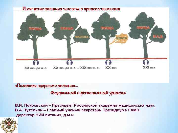 Изменение питания человека в процессе эволюции «Политика здорового питания… Федеральный и региональный уровень» В.
